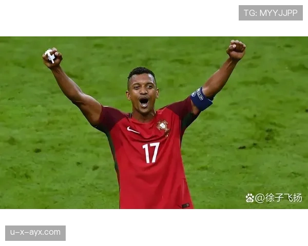 欧洲杯东道主优势明显,主场作战助力球队冲击冠军 欧洲杯东道主优势明显,主场作战助力球队冲击冠军