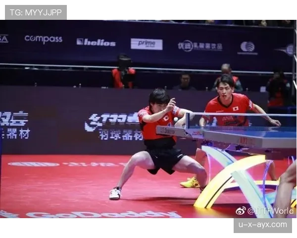 德甲次席争夺白热化，各队战斗力持续高涨