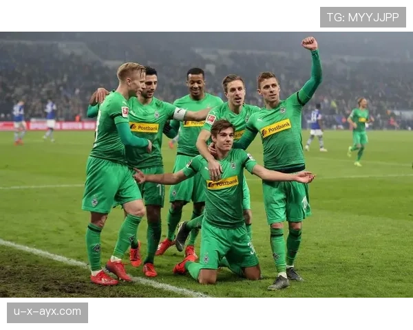 沙尔克04重塑球队结构，强势冲击德甲回归