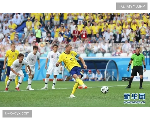 瑞典教练输出 瑞典教练输出