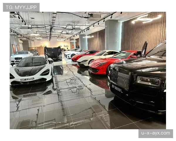 扎克拉文家的车库比我家还大，他到底有几个车？